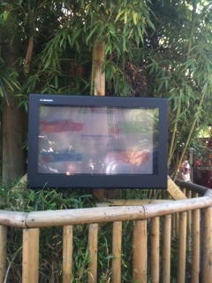 Outdoor TV Enclosures
